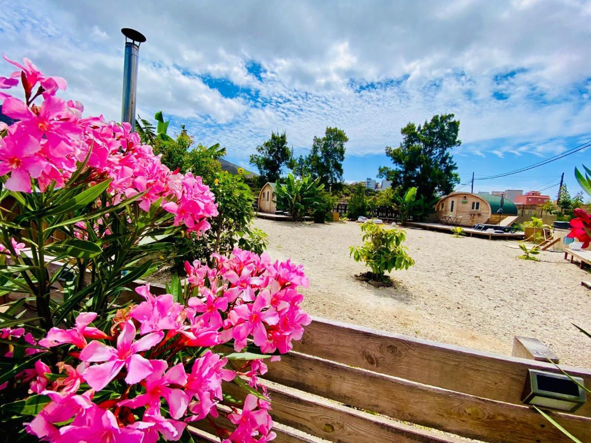 Arrebol Suite Con Jacuzzi, Piscina Y Naturaleza Buzanada Buitenkant foto